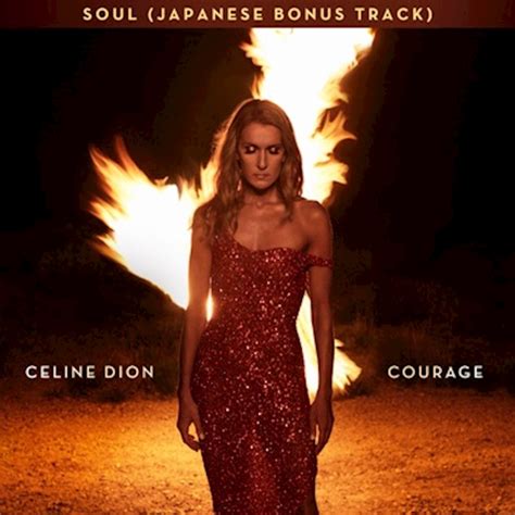 celine dion buy japan bonus track soul in us|where is celine dion now.